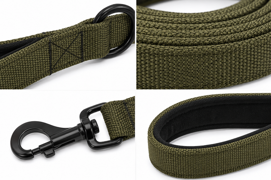 Nylon Dog Leash With Padded Handle – Heavy Duty Walking Lead