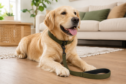 Nylon Dog Leash With Padded Handle – Heavy Duty Walking Lead