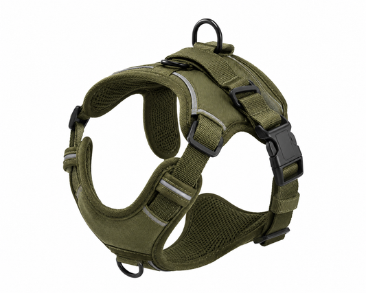 Reflective Adjustable Dog Harness – Soft Padded Fit